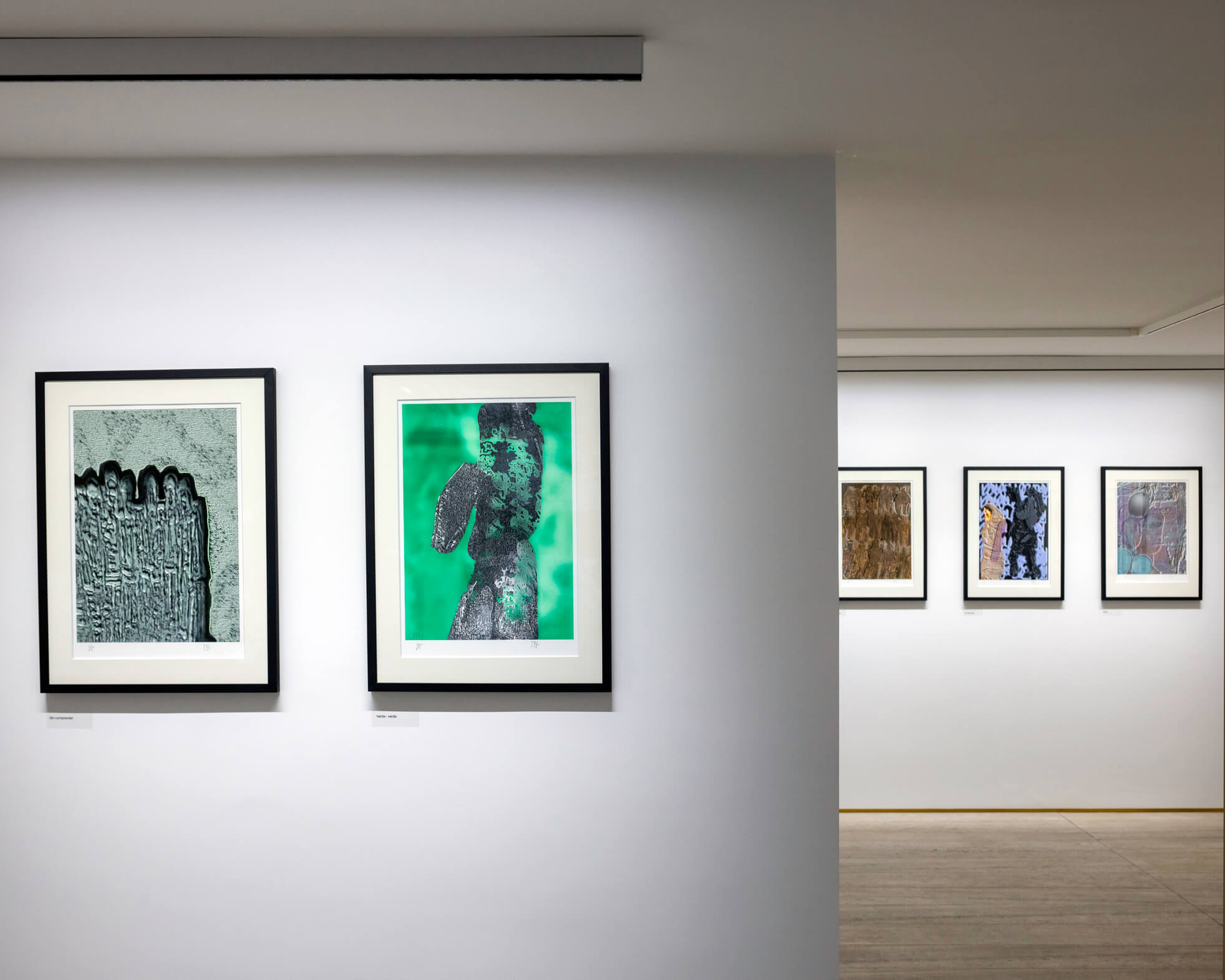 d21_limarí_Aryeh Kornfeld (11)